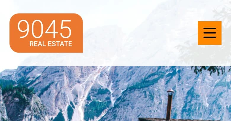 9045 Real Estate — bisherige Website: überladenes Template mit orangefarbenem Slider